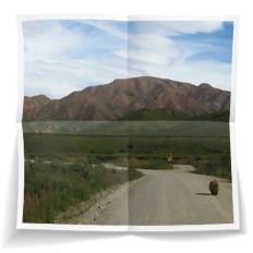 Frank Miesbauer Reisecoaching | ALASKA