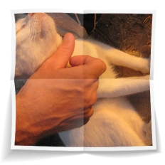 Frank Miesbauer Reisecoaching | MALAYSIA