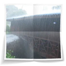 Frank Miesbauer Reisecoaching | MALAYSIA