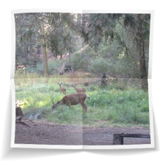 Frank Miesbauer Reisecoaching | USA