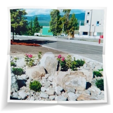 Frank Miesbauer Reisecoaching | Work & Travel NIGERIA